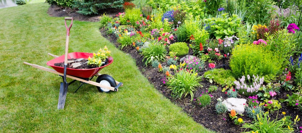 Garden Installation