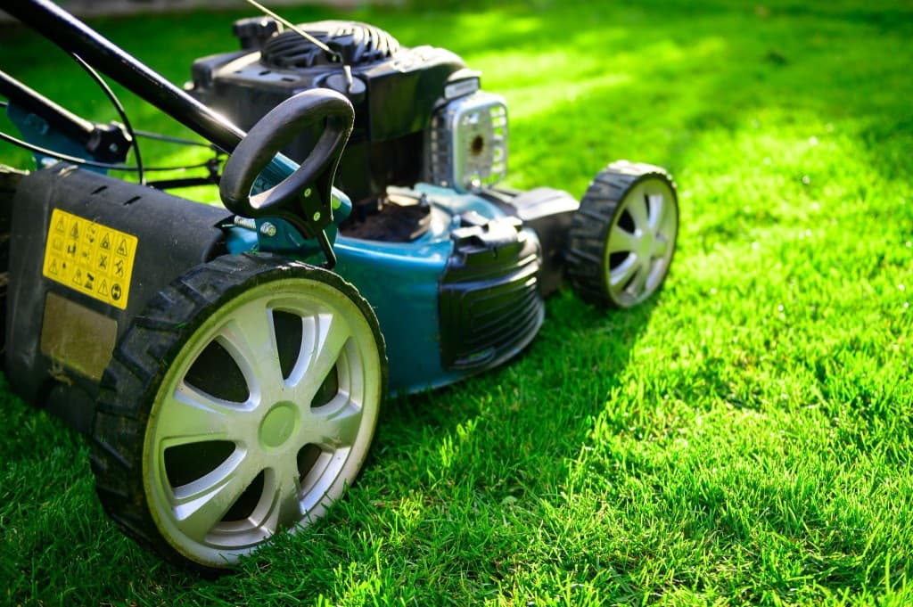 Lawn Maintenance — project photo